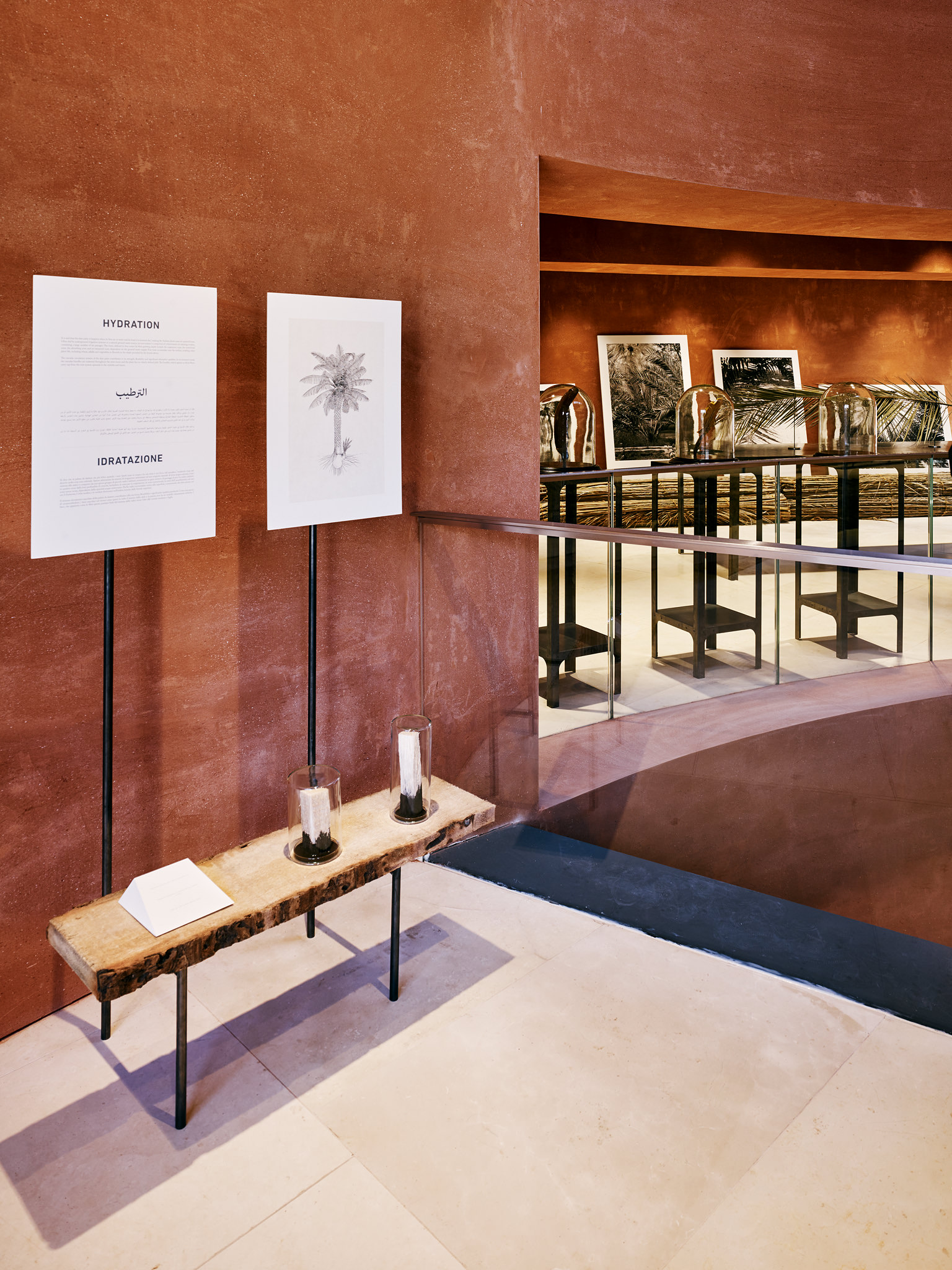 E15547 Alpa 050410 SCREEN